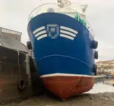 Barcos de trabalho à venda