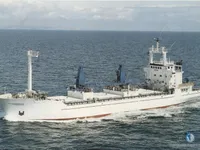 Navio frigorífico à venda