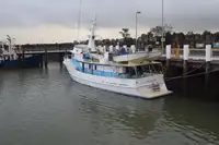 Cutter à venda