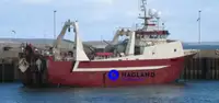 Large freezer trawler à venda