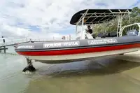 Anfíbio à venda