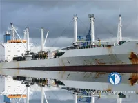 Navio frigorífico à venda