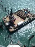 Navio guindaste à venda