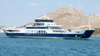 Navio balsa à venda