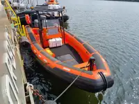 Bote inflável rígido à venda