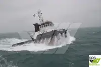 Barcos de trabalho à venda
