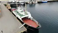 Navio Ro-Ro à venda