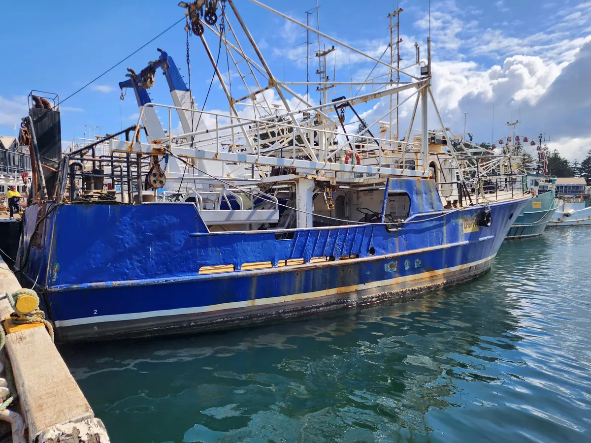 Navio de pesca de arrasto à venda