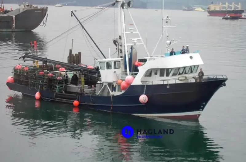 Navio de pesca de linha de mão à venda
