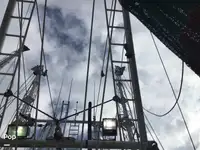 Navio de pesca de arrasto à venda