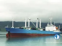 Navio frigorífico à venda