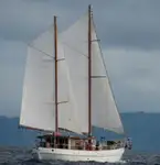 Dragador à venda