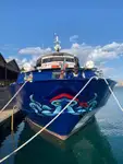 Navio balsa à venda