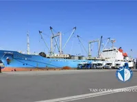 Navio Reefer à venda