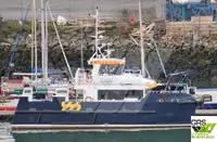 Navio de serviço para parques eólicos à venda
