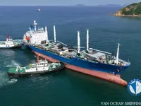 Navio frigorífico à venda