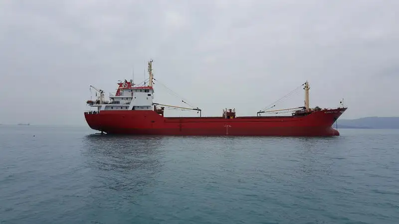 Navio graneleiro à venda