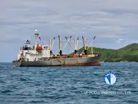 Navio frigorífico à venda