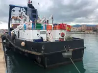 Barcos de trabalho à venda