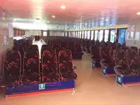 Navio de cruzeiro à venda