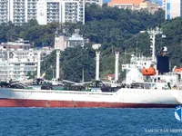 Navio frigorífico à venda