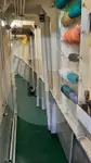 Navio transportador de peixes vivos à venda