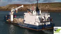 Barcos de trabalho à venda