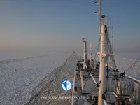 Navio frigorífico à venda
