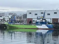 Barcos de trabalho à venda