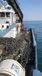 Barcos de trabalho à venda