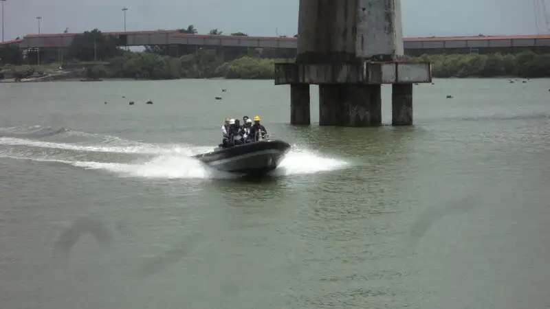 Bote inflável rígido à venda