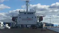 Navio graneleiro à venda