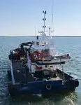 Barcos de trabalho à venda