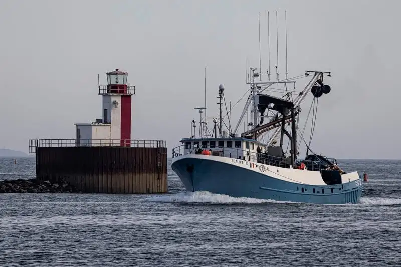 Navio de pesca de cerco à venda