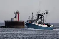 Navio de pesca de cerco à venda