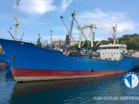 Navio frigorífico à venda