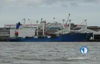 Navio frigorífico à venda