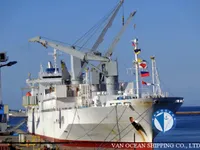 Navio frigorífico à venda