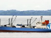 Navio frigorífico à venda