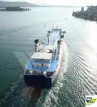 Ro-Ro ship à venda