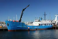 Navio graneleiro à venda