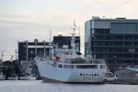 Navio de pesca de arrasto à venda