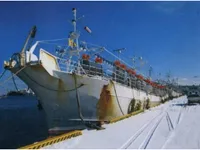 Navio de pesca de lula com anzol à venda