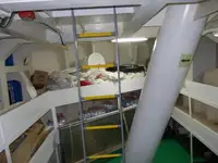 Navio graneleiro à venda