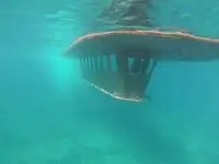 Navio de cruzeiro à venda