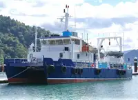 Catamarã à venda