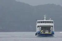 Navio Ro-Ro à venda