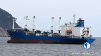 Navio frigorífico à venda