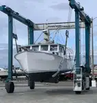 Navio de processamento de peixe à venda