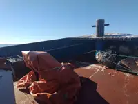 Rebocador à venda